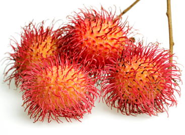 4 Common Problems of Mobile Network Connection