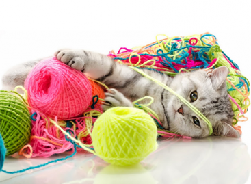 How to Define Technologies Used Mobile App?