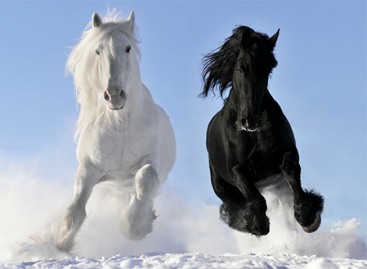 Why May Mobile Web Programs Surpass Native Ones?