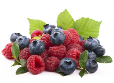 What are Advantages Mobile Programs?