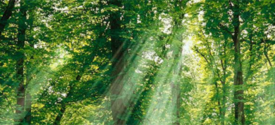 How Environment Impacts Mobile Software Functionality?