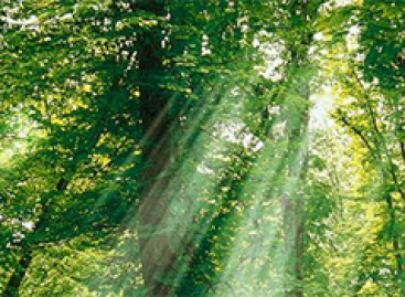 How Environment Impacts Mobile Software Functionality?