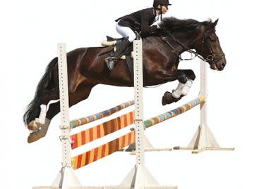 How to Pass the Interview for the Position of a Tester?