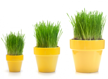 How to Increase Efficiency of Software Testing?