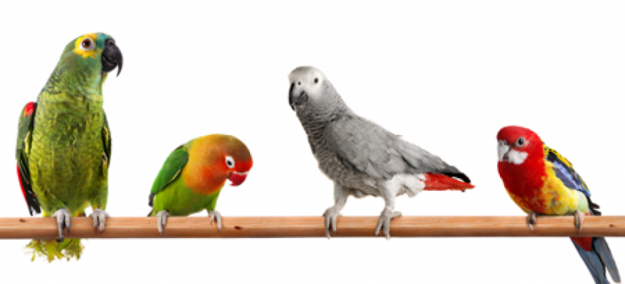 Why to Customize the CV for Each Vacancy?