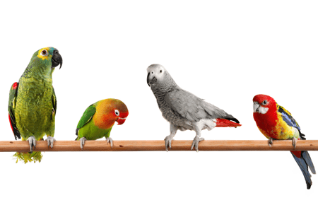 Why to Customize the CV for Each Vacancy?