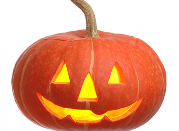 What are Fears of Manual Test Engineers?
