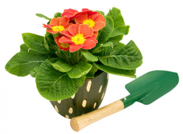 How to Choose a Suitable Test Management Tool?