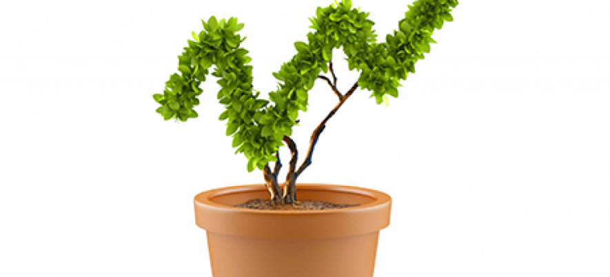How to Make a Software Testing Process Profitable?