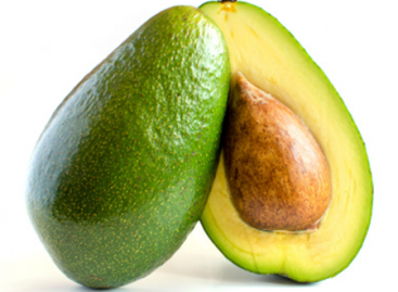 Non-Technical Aspects of Development and Testing