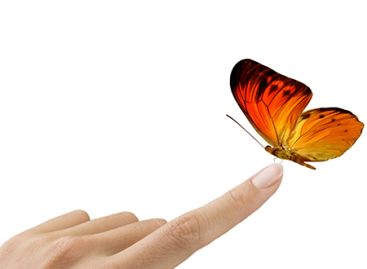 What Software Bugs do Professional Testers Find?