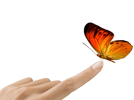 What Software Bugs do Professional Testers Find?