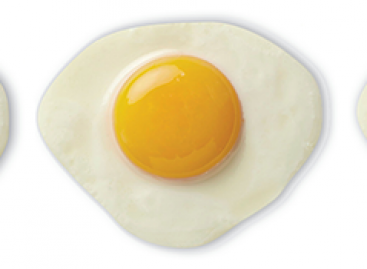 Why Describe Deployment Process in Release Notes?