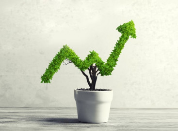 Who Can Help to Assure App Success at the Market?
