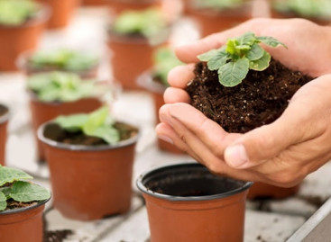 Approaches for Designing Manual Test Cases