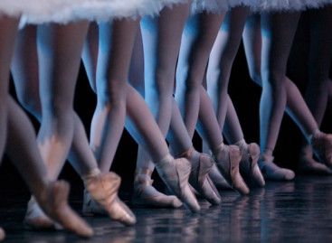 Meaning of Coordination in Software Testing Area