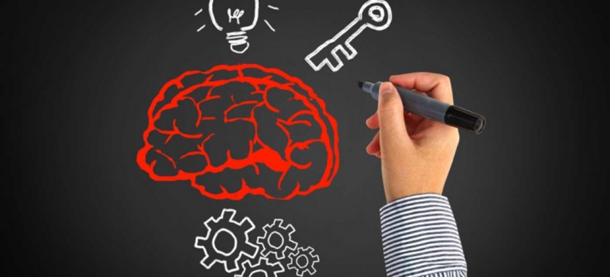 Software Tester: High Qualification Background vs Knowledge