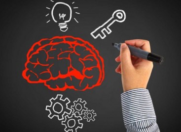 Software Tester: High Qualification Background vs Knowledge