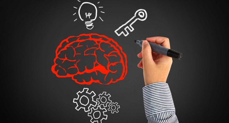 Software Tester: High Qualification Background vs Knowledge