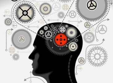 Deceptive Opinion on Usability Testing