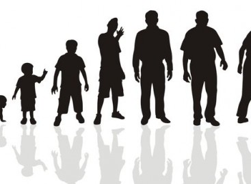 What Is Software Development Life Cycle?