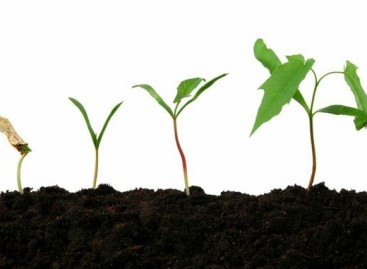 5 Levels of Testing Maturity