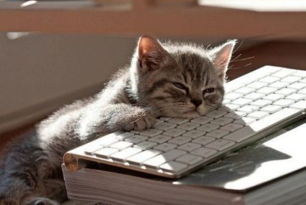 Like Clockwork: What to Do If There Are No Bugs