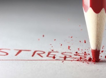Non-Functional Testing: Load and Stress