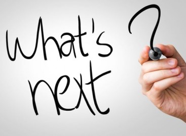 Bug Is Discovered: What Is Next?