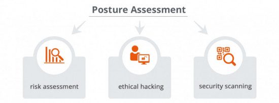 Posture Assessment