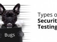 7 Types of Security Testing