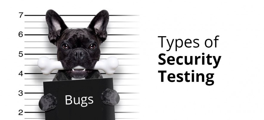 7 Types of Security Testing