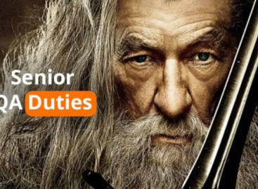 What Are the Duties of Senior Software QA Engineer?