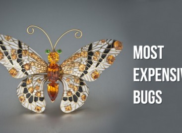 Most expensive bugs of 2016