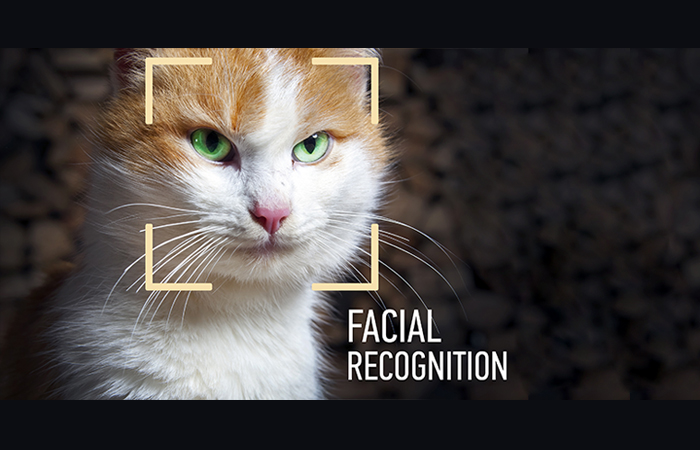 Forget about plastic surgery! Facial recognition is coming