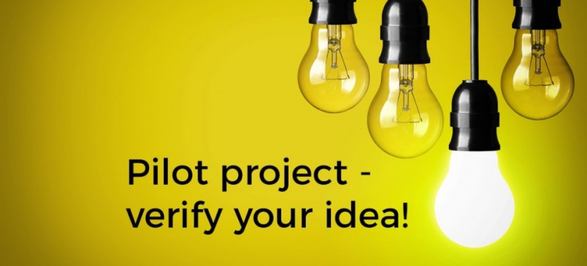 Pilot Project Meaning