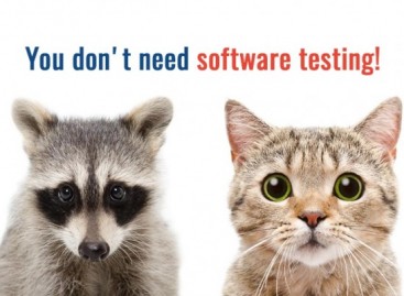 You don’t need software testing, do you?