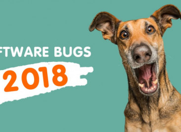 Top Software Bugs 2018