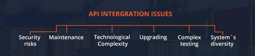 API Integration Issues