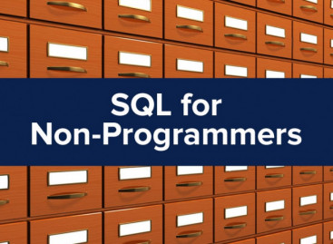 Basics of SQL for Non-programmers. Real Experience