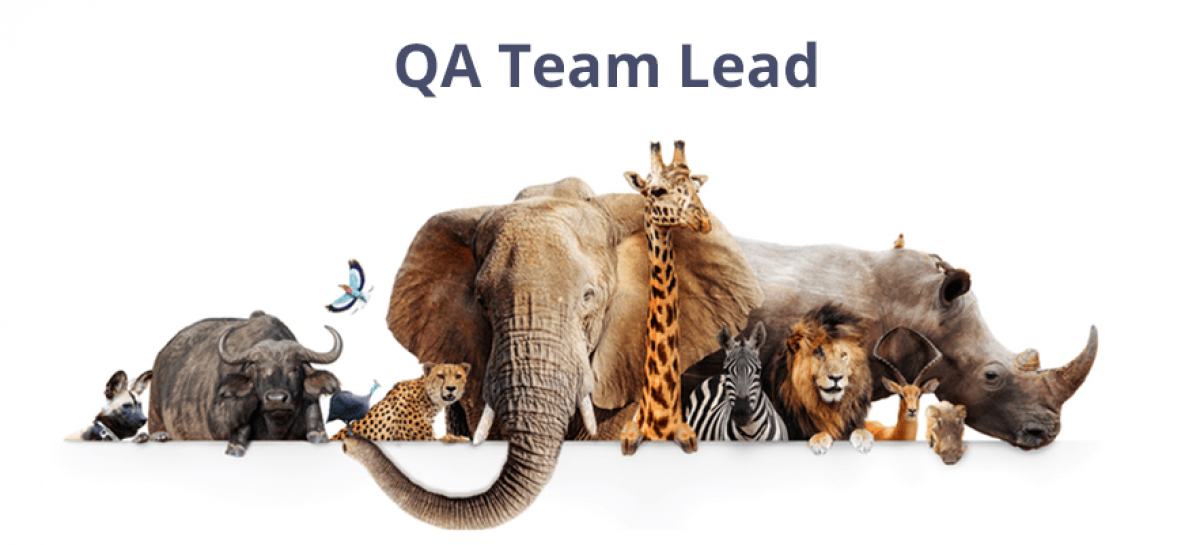 QA Leads Responsibilities, Team Management QATestLab Blog