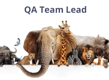 Guide for QA Leads: Responsibilities, Skills, Team Management