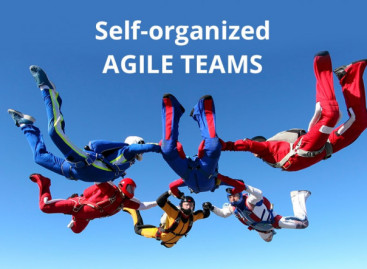 Self-organized Agile Teams are Real or No?
