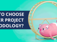 Guide to Choose Correct Project Methodology