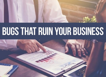 How bugs impact your business. With real-life examples