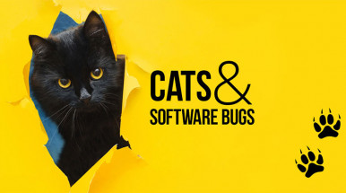 Main Types of Software Testing or Testers-Cats
