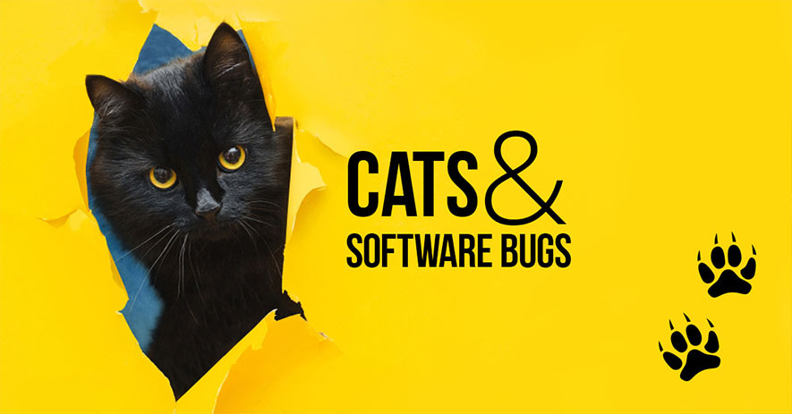 Main Software Testing Types Or Testers Cats Qatestlab Blog