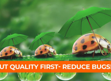 Know Your Enemy in Face: Types of Bugs & Ways to Prevent Them