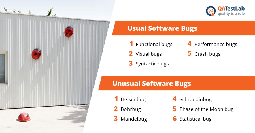 types_of_bugs