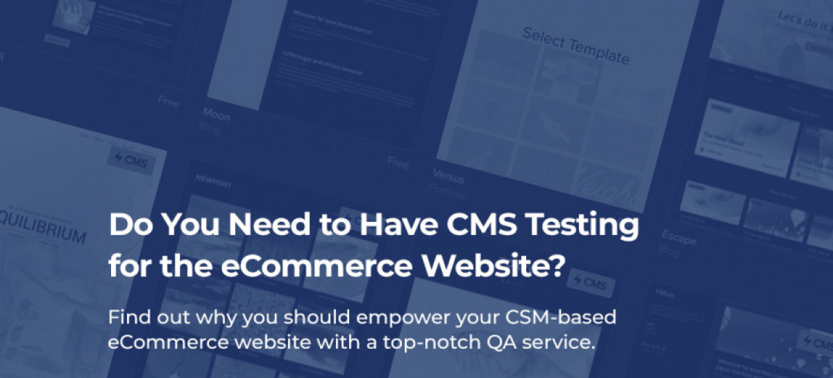 Do You Need to Have CMS Testing for the eCommerce Website?